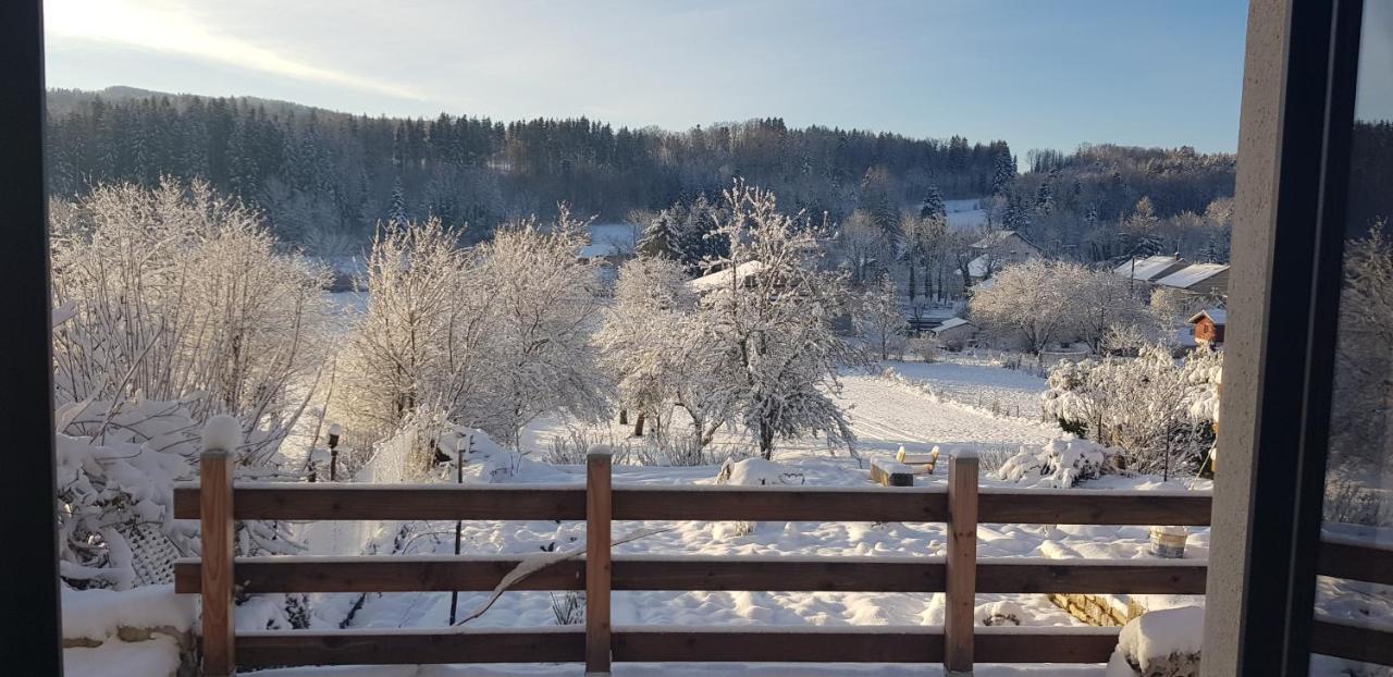 Le Jura En Toutes Saisons Piscine, Spa, Location Vtt, Balades 2Cv, Climatisation Bonlieu ภายนอก รูปภาพ
