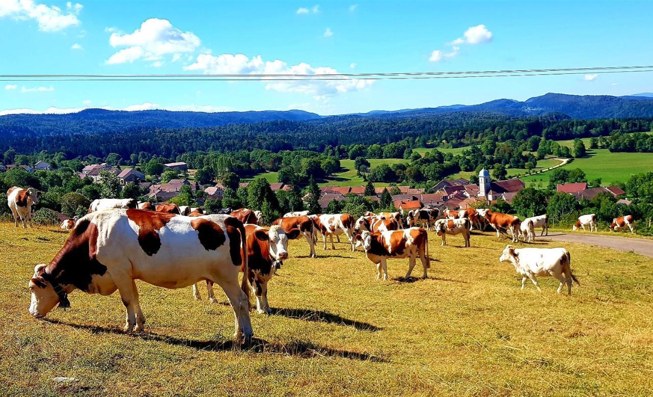 Le Jura En Toutes Saisons Piscine, Spa, Location Vtt, Balades 2Cv, Climatisation Bonlieu ภายนอก รูปภาพ